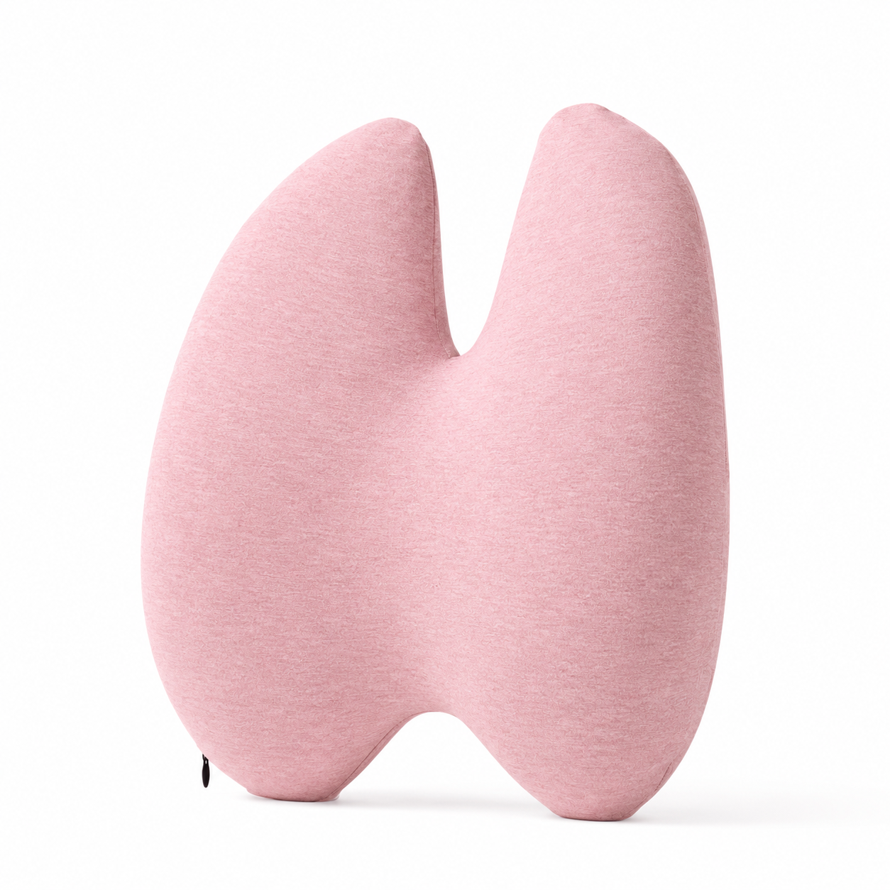 Coussin ergonomique lombaire